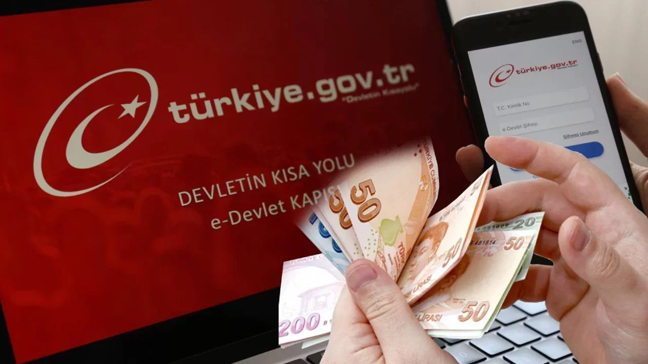 e-Devlet'e yeni özellik geldi! Tüm hesaplar ortaya çıkacak